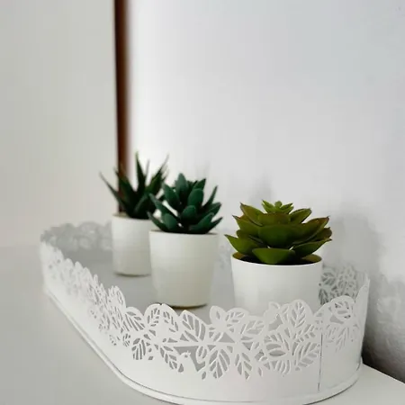 Lava Family דירה